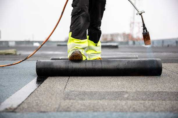 Professional Roofing Services in Louise, TX